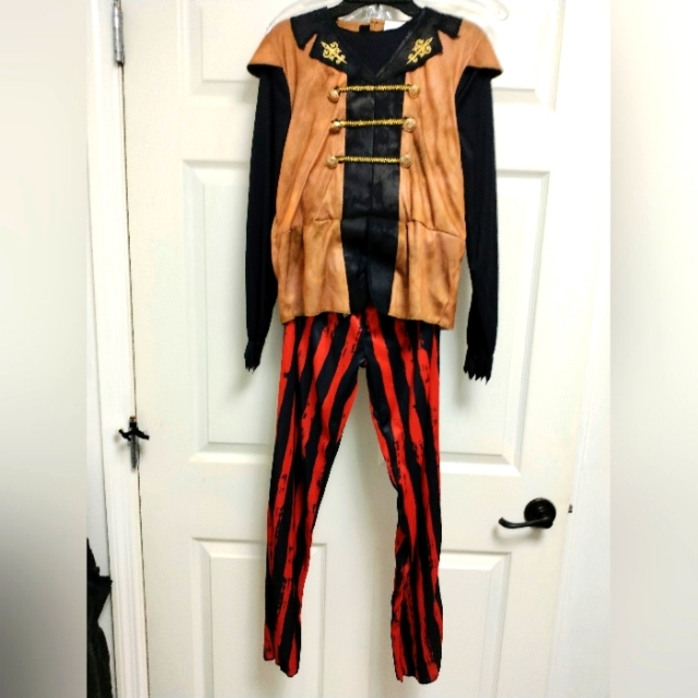 SWASHBUCKLING PIRATE HALLOWEEN COSTUME